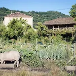 Reitoral De Chandrexa Parada de Sil