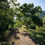 Reitoral De Chandrexa