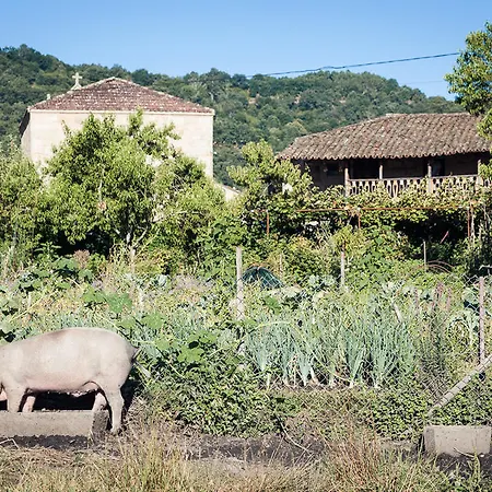 Reitoral De Chandrexa Parada del Sil