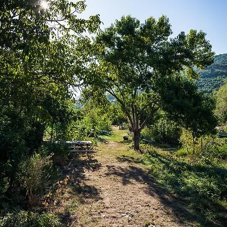 Reitoral De Chandrexa