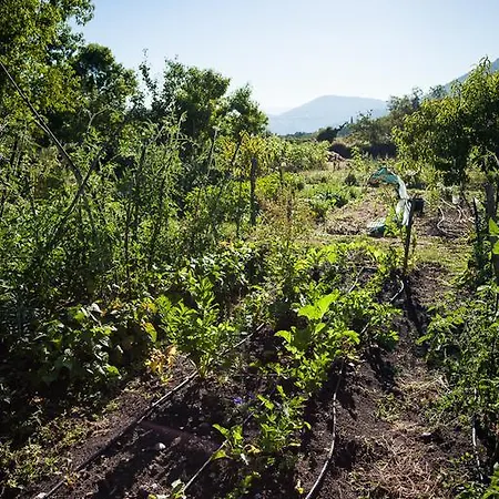 Lantställe Reitoral De Chandrexa Parada del Sil
