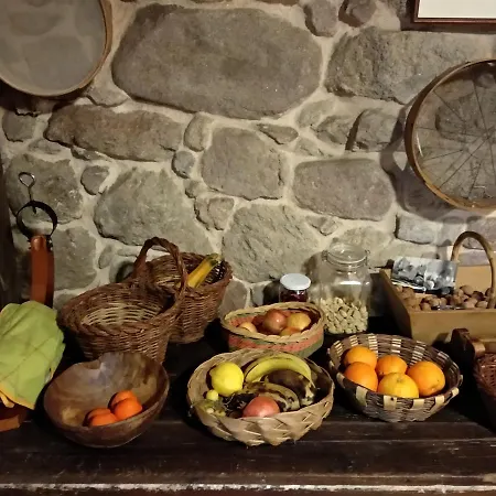 Reitoral De Chandrexa *