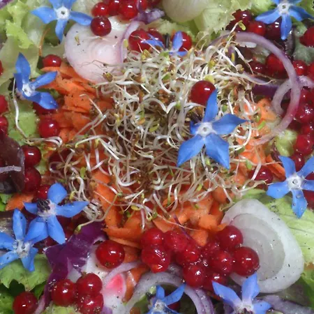 Casa rural Reitoral De Chandrexa Parada del Sil