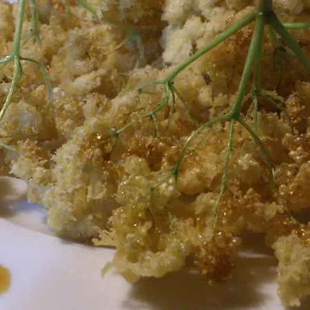 Reitoral De Chandrexa