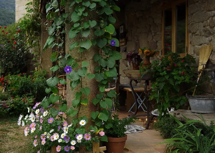 Reitoral De Chandrexa Kır Evi *