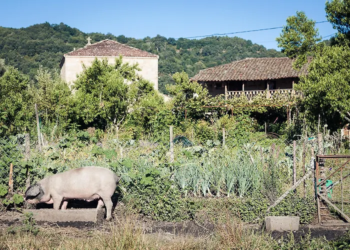 Reitoral De Chandrexa Parada del Sil
