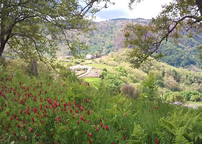 בית כפרי Reitoral De Chandrexa פרדה דל סיל
