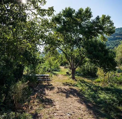 Reitoral De Chandrexa