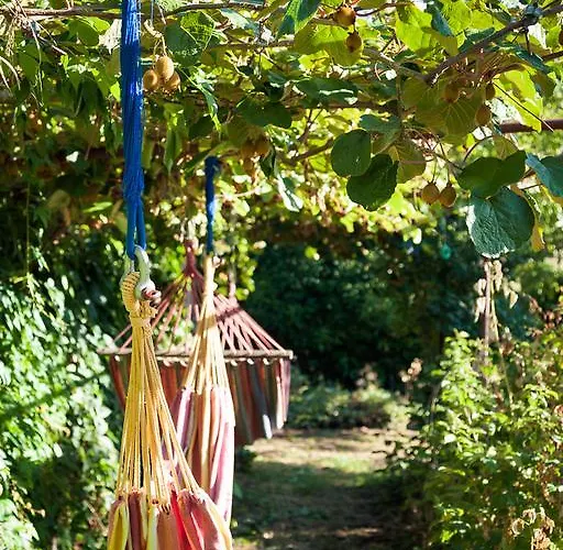 Reitoral De Chandrexa Parada del Sil