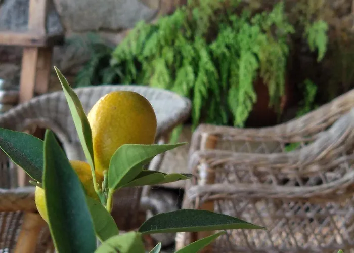 Reitoral De Chandrexa Kır Evi *