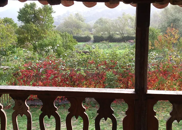 Reitoral De Chandrexa *