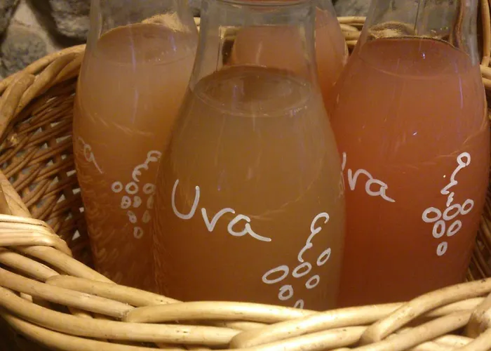 Reitoral De Chandrexa *