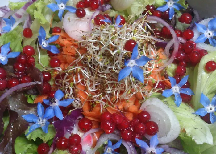 Kır Evi Reitoral De Chandrexa Parada del Sil