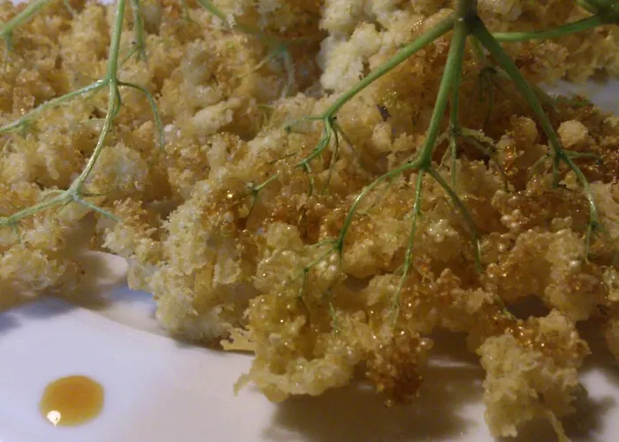 Reitoral De Chandrexa